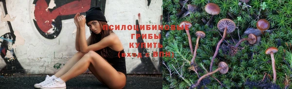 ешки Зерноград