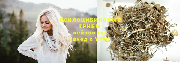 ешки Зерноград