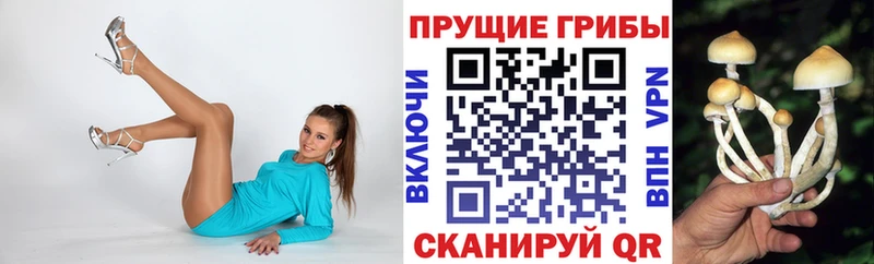 Галлюциногенные грибы мухоморы  дарнет шоп  сайты даркнета какой сайт  Клинцы 