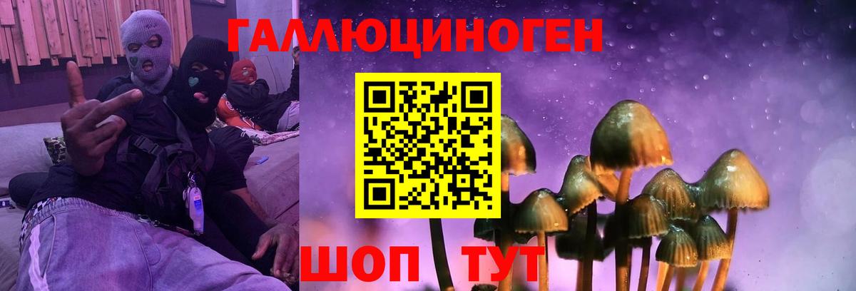 Галлюциногенные грибы Psilocybe  Вход с VPN  Клинцы 