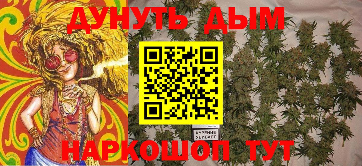 Канабис сатива  Вход с VPN  Клинцы  Конопля марихуана 
